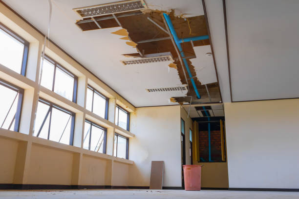 Best Professional water damage repair  in Clyde Hill, WA