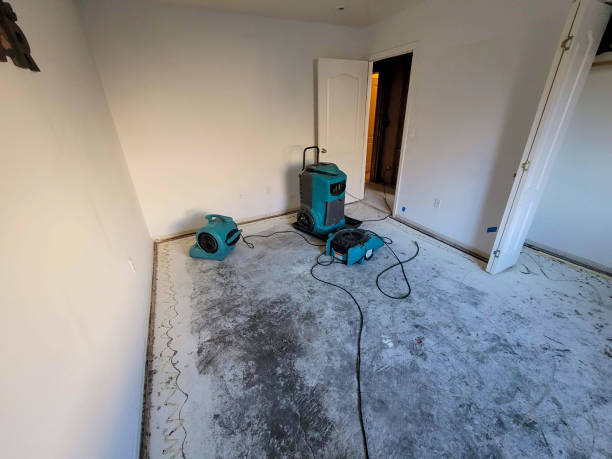 Best 24-hour water damage restoration  in Clyde Hill, WA